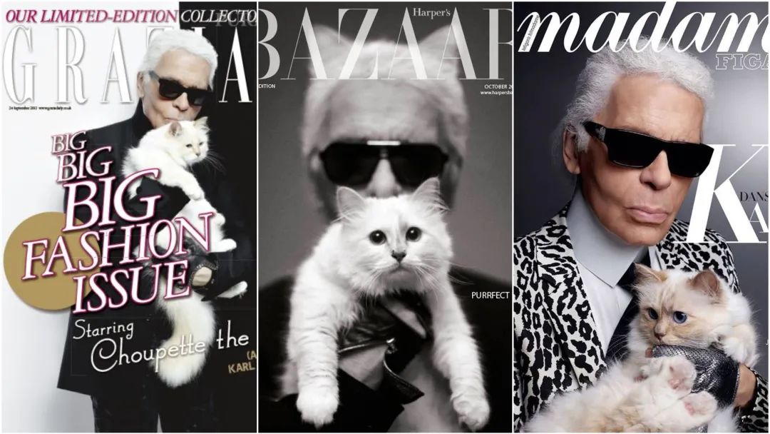 刘雯邓文迪,邓文迪杨紫琼