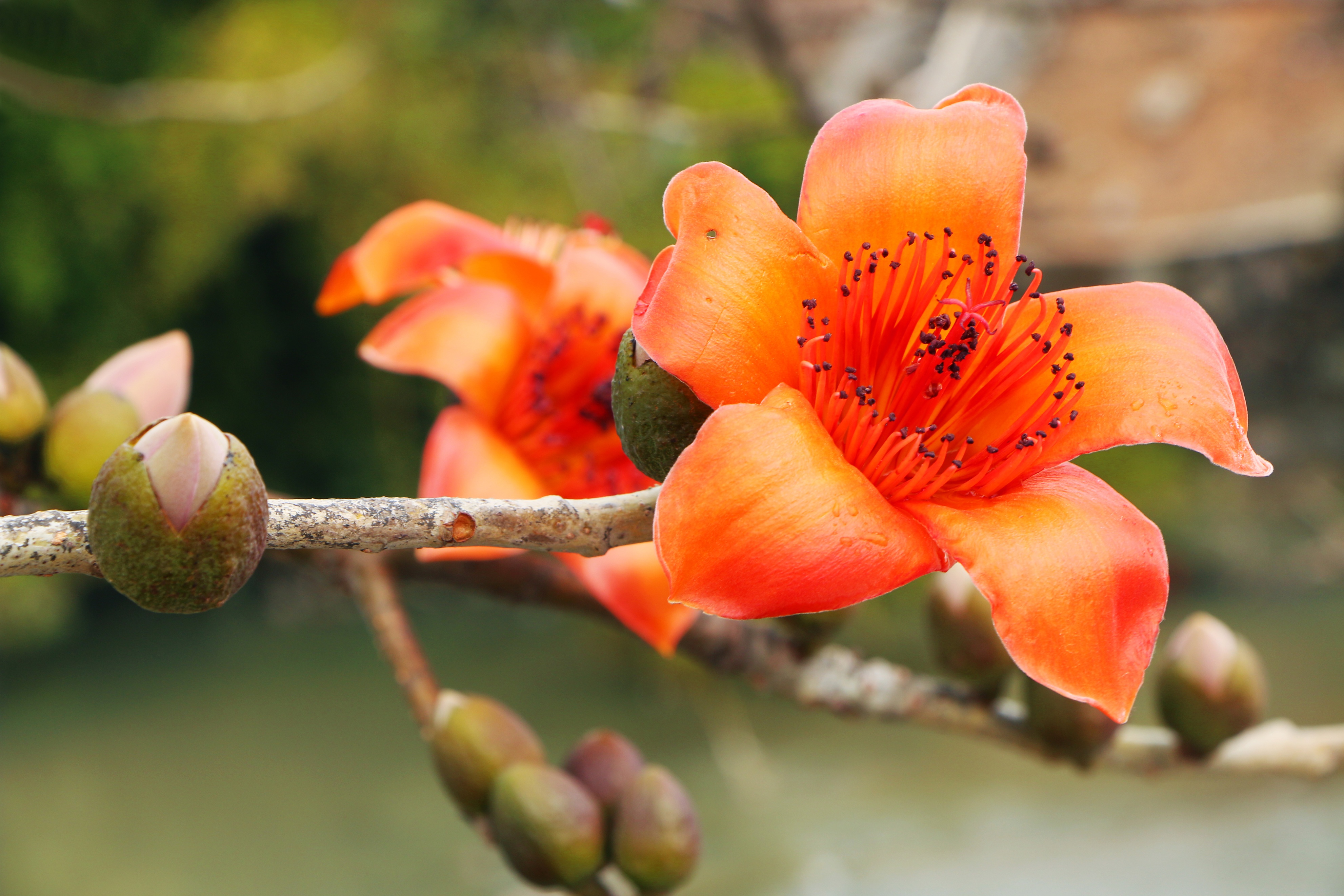 单车自驾环游中国,骑行环游中国最佳时间