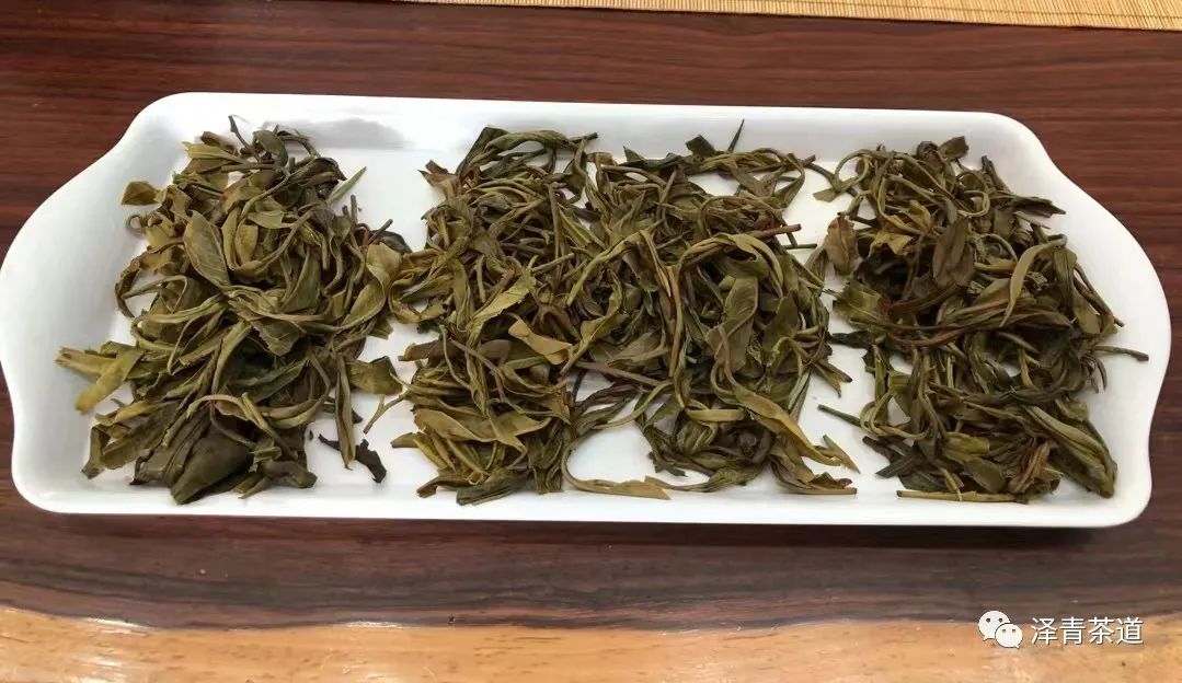 普洱茶各大山头的特性和口感图文,普洱茶老茶头的口感特点有哪些