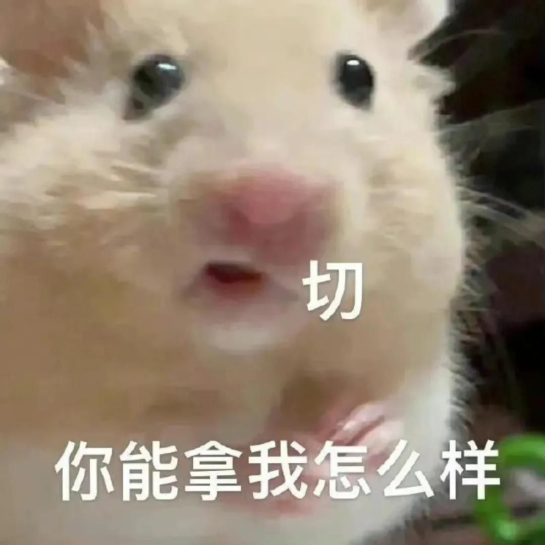 吃瓜群众表情包二次元,吃瓜群众表情包是什么意思