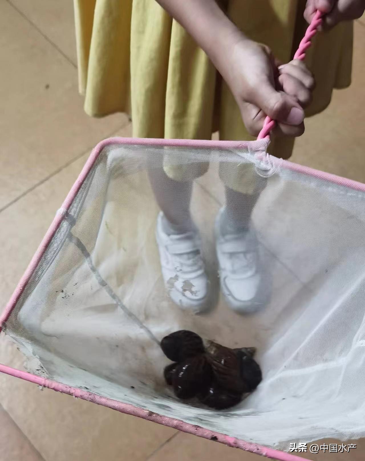 水生外来物种入侵防控工作方案,水生动物防疫