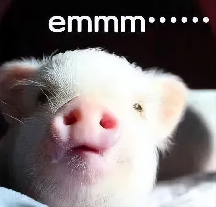 赌石套路,翡翠原石直播间赌石的套路