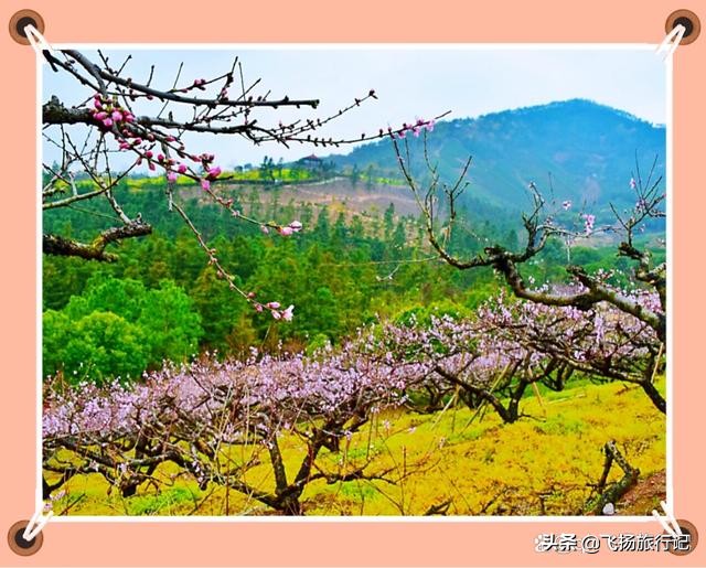 被誉为帝乡佛国的湖州长兴,有一处绝美的风景区,惊艳了时光