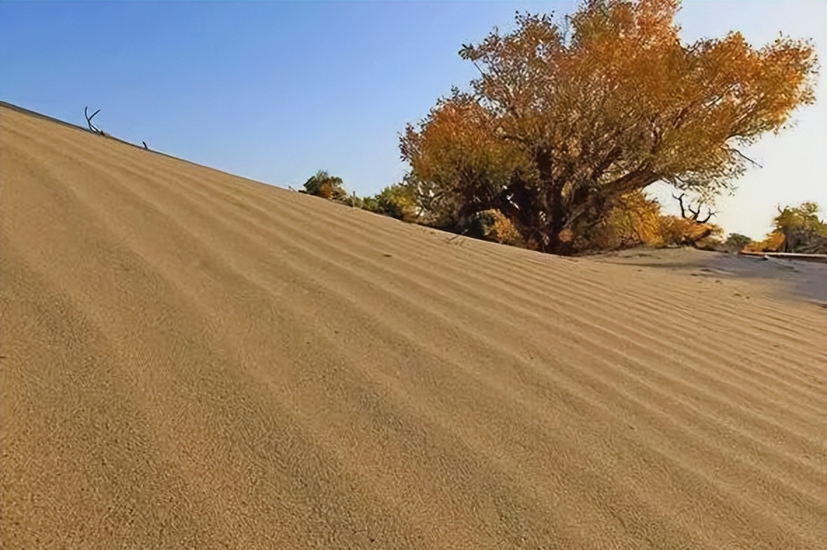 沙漠里的沙子为什么不能利用,沙漠里面的沙子能干什么用