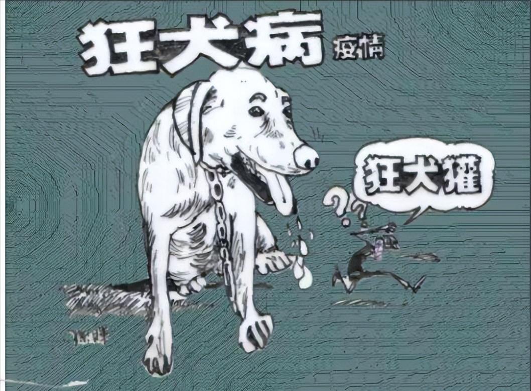 狗狗有狂犬病早期的10个征兆,狗狗患狂犬病早期的10个征兆