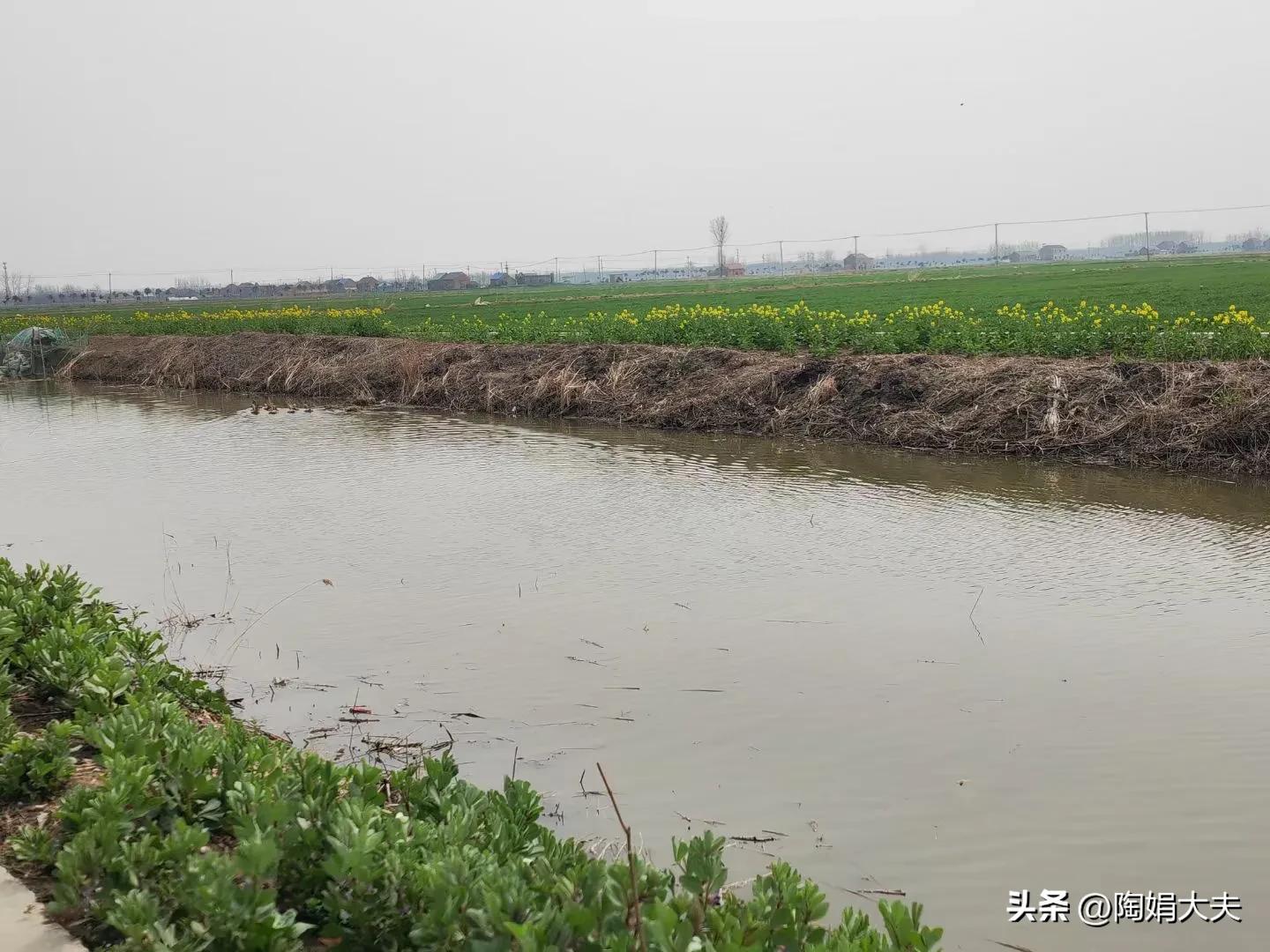 绝经后再来大姨妈正常吗,绝经大姨妈又来了咋办