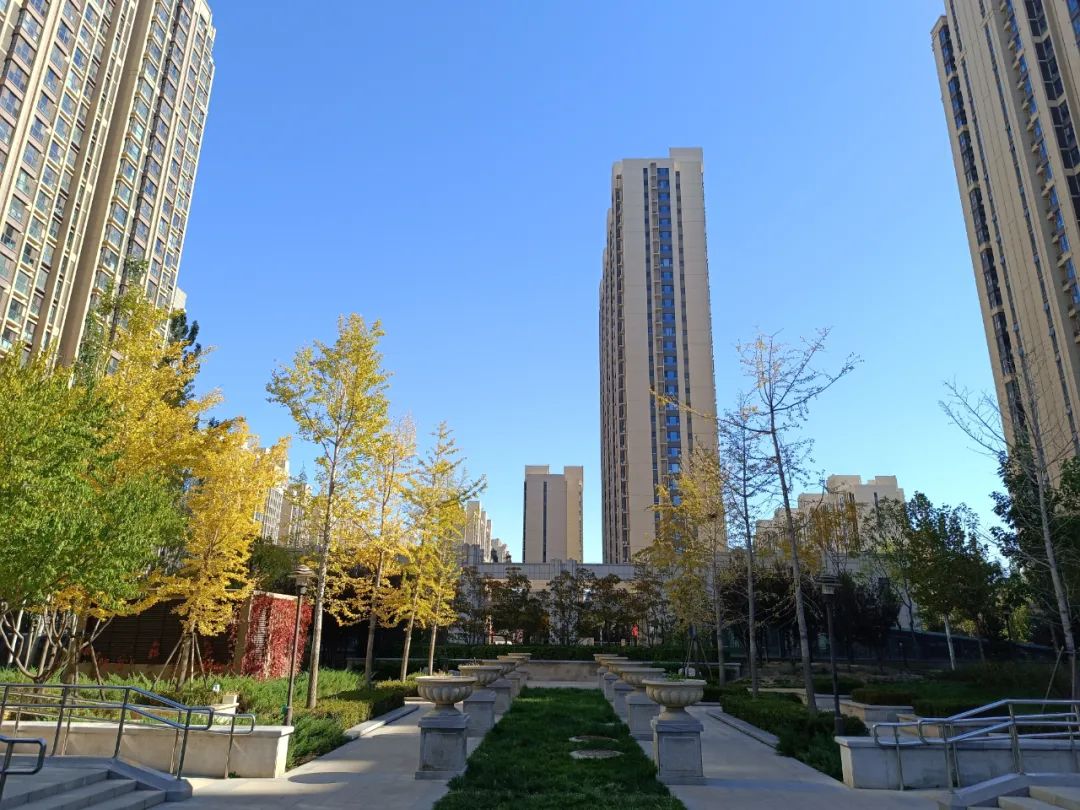 redminote114g拍照效果,redminote11拍照效果好吗