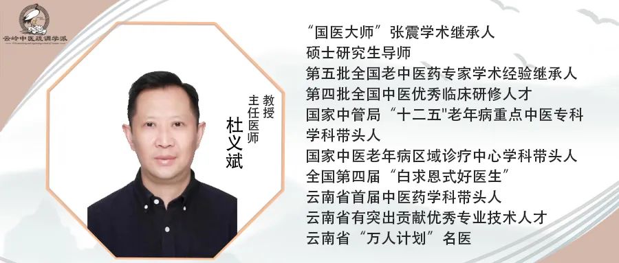 中医疏调气机法讲座,国医大师张震讲疏调气机汤视频