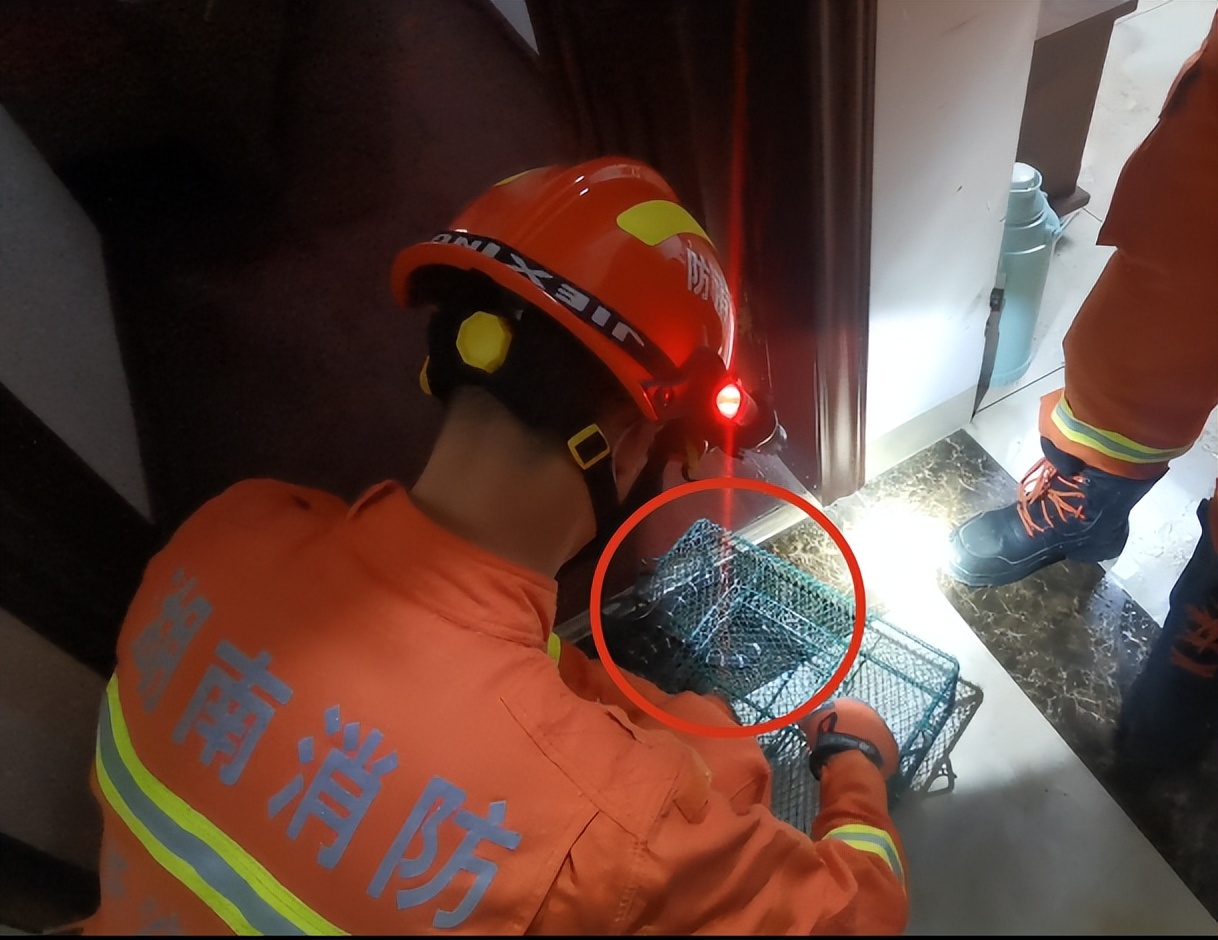 男子睡觉被蛇缠脚,男子被蛇缠腿3米