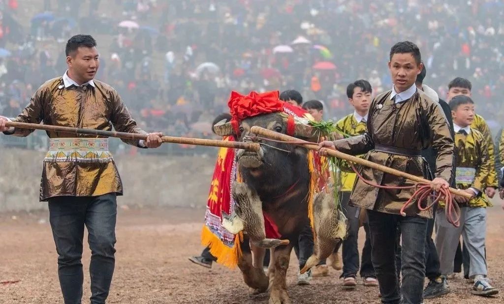 今天的贵州视频,今天的贵州冷不冷