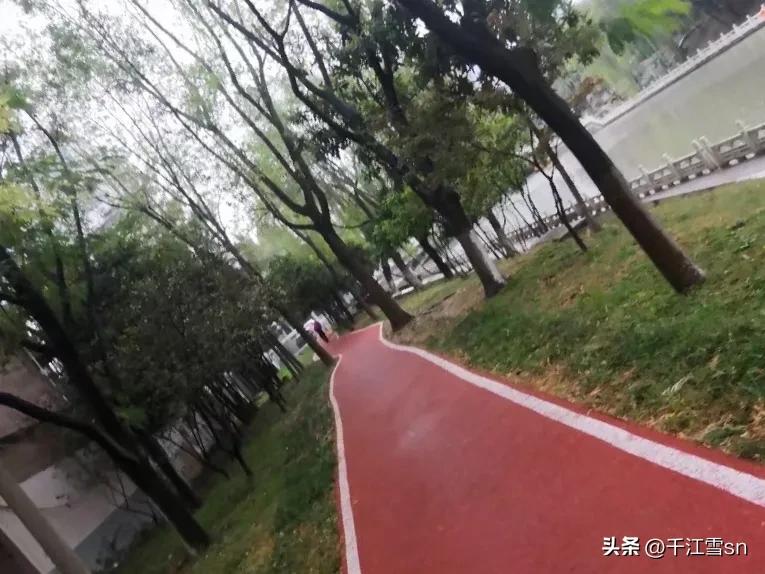 寂寞的跑道,孤独的操场