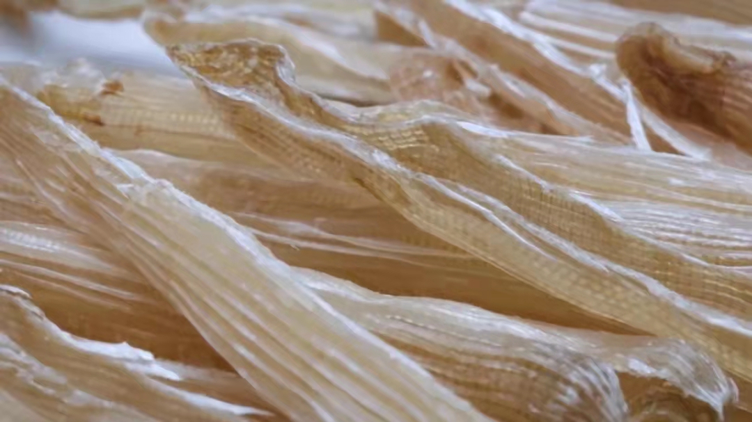 生蚝壳上的圆圆的虫子是什么,生蚝壳有红色虫子是什么虫子