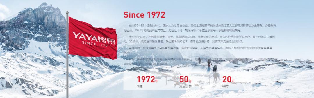 2022品牌价值排行榜区域品牌,2022十大家具品牌