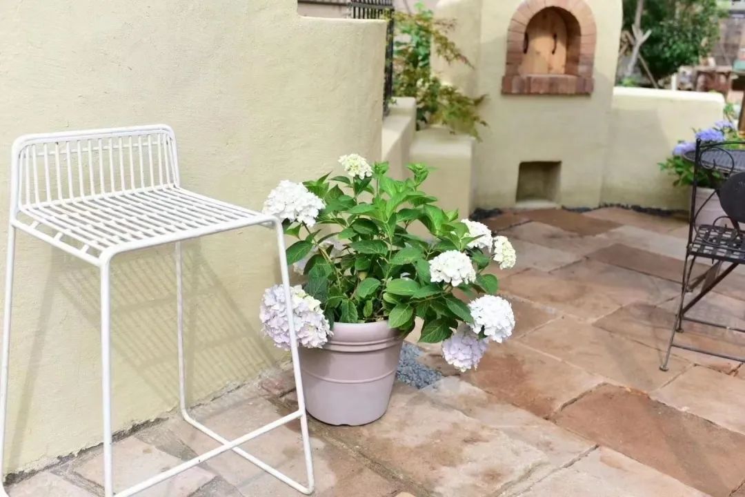 她在大连建了一座可以随便“折腾”的花园，处处体现着自然美感