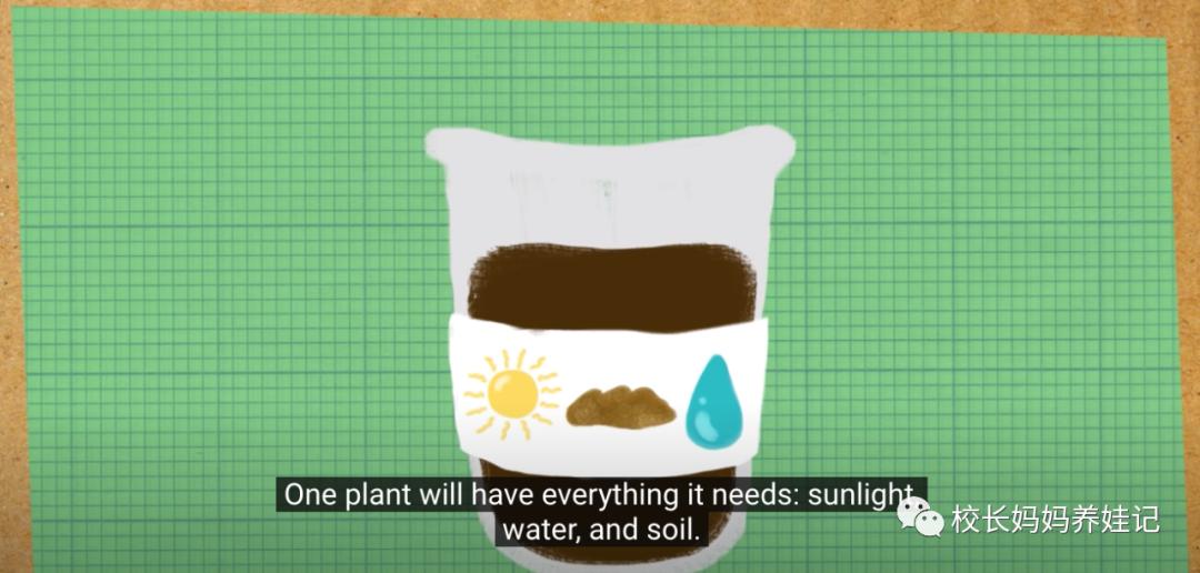 关于春天种植的英文儿歌,英文种植儿歌