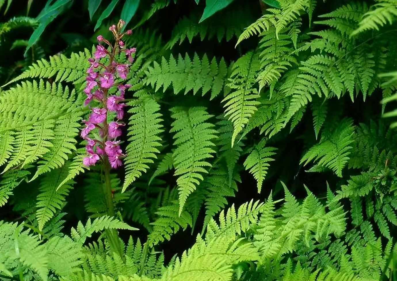 男女之间的10个真相太扎心了,男女之间真正应该了解的是什么