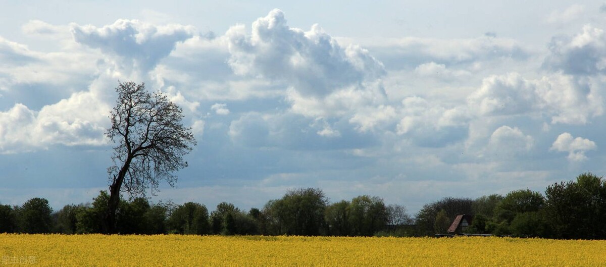 环保项目最新消息,近两年环保项目有哪些