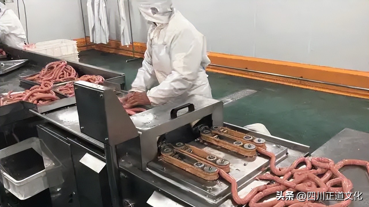 东亚人与白人体质差距,中国人与白种人对比