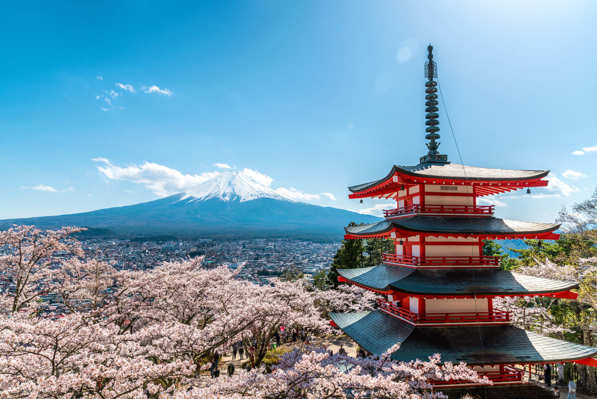 日本樱花季节攻略,日本樱花季旅游费用