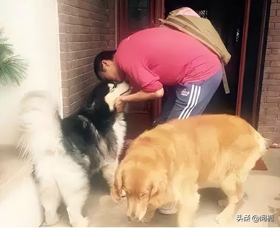 李健康辉为什么都是丁克,康辉李健丁克一族视频