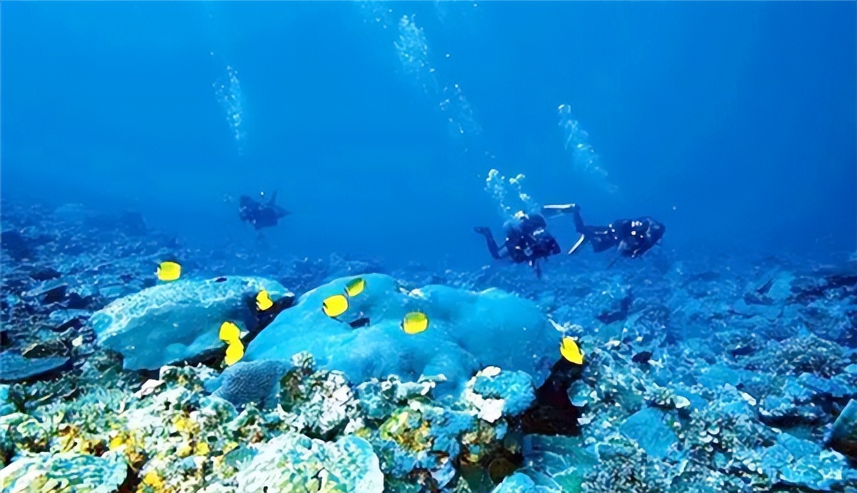 被侵占的南海主要岛礁,南海最大岛礁现状