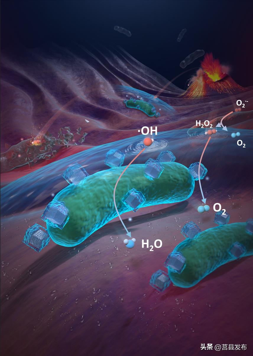 穿上“新铠甲”，浙大成果为肠炎治疗提供新策略