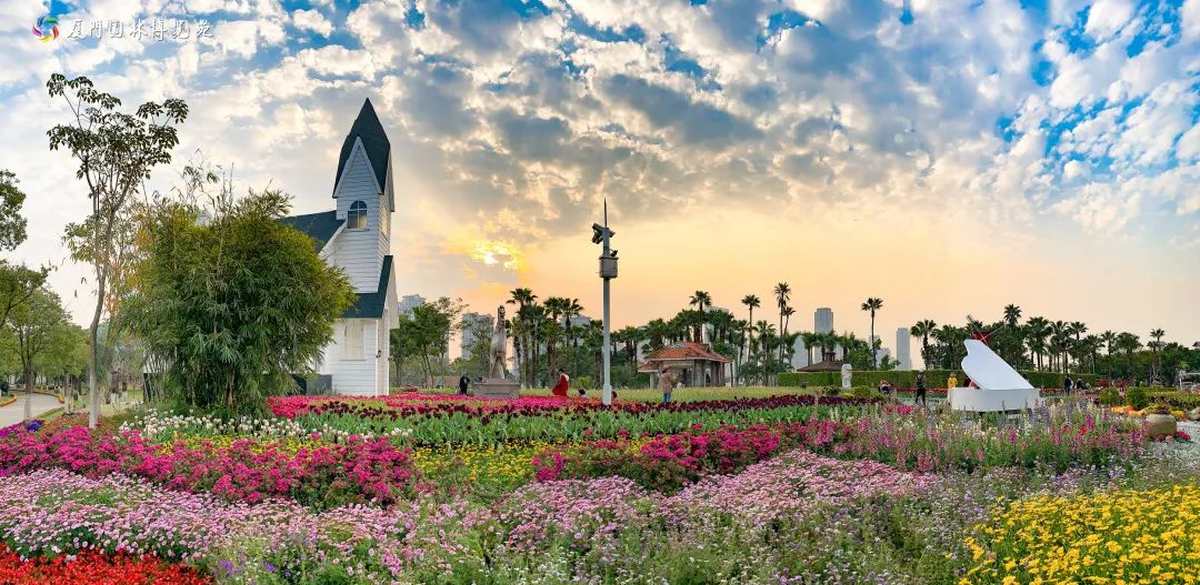 厦门春节旅游项目,厦门夕阳红旅游