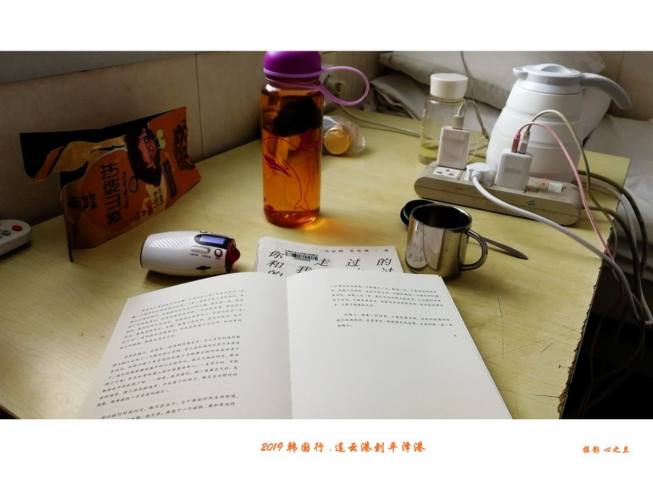 韩国行中国行,韩国行旅行团