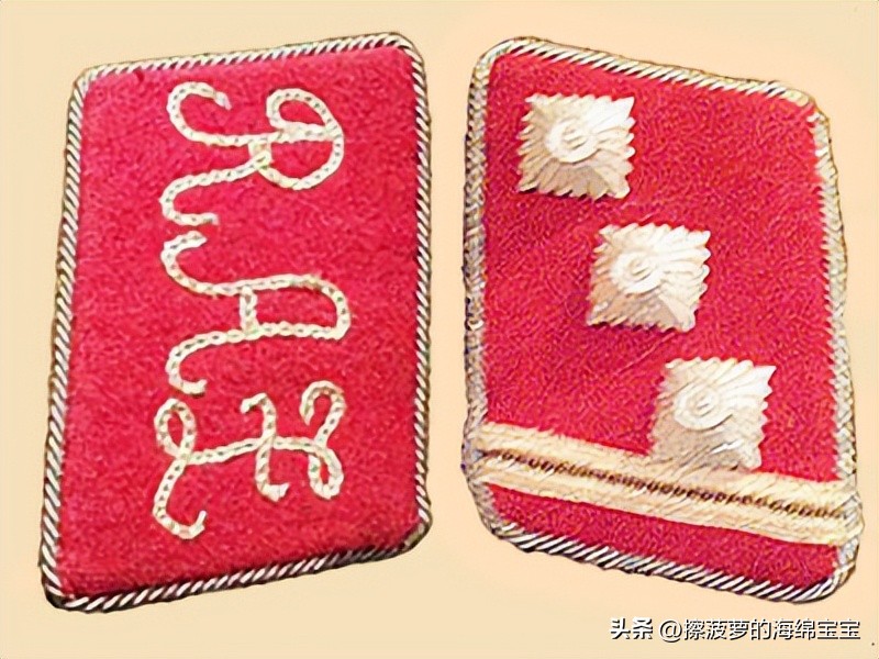 纳粹冲锋队用的什么枪,纳粹德军军衔图解