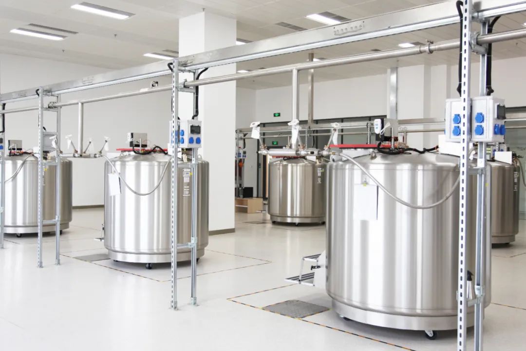 脐带血里存在大量的造血干细胞,脐带血冻存10年