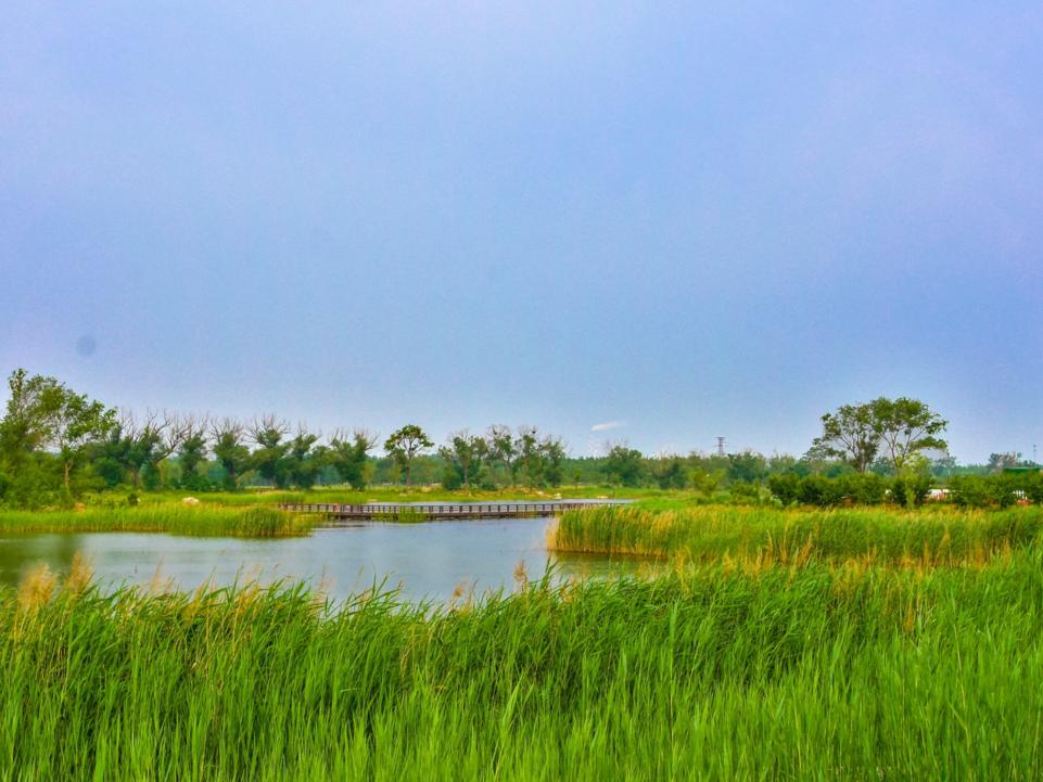 在东营五一假期应该去哪玩,东营人五一旅游攻略自由行