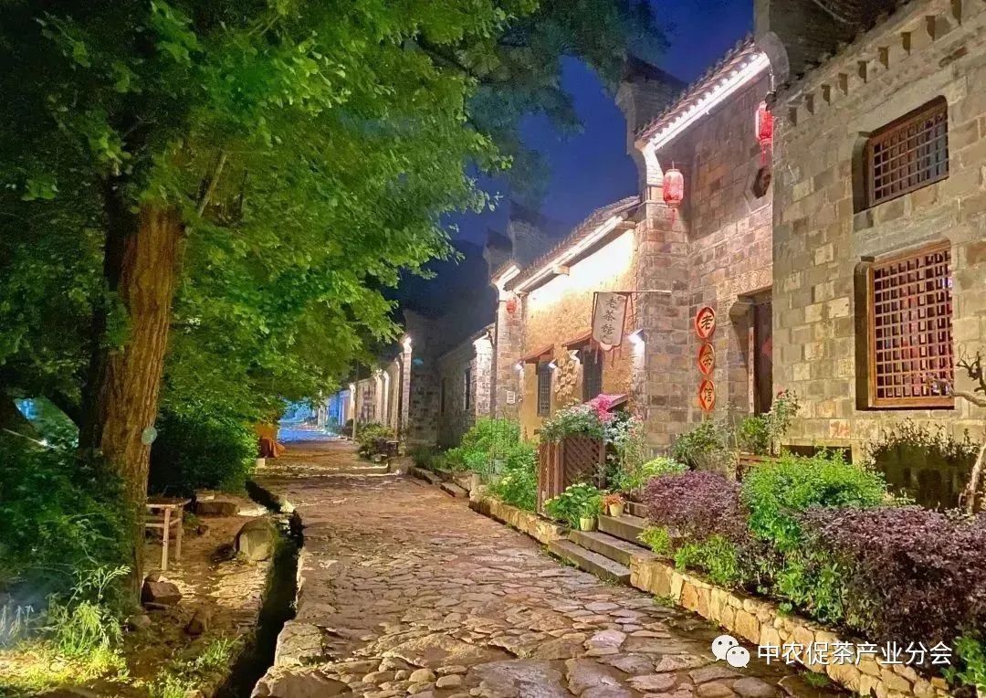 娌冲崡淇￠槼绾㈠煄鑼朵埂,鏂板幙绾㈠煄鑼朵埂