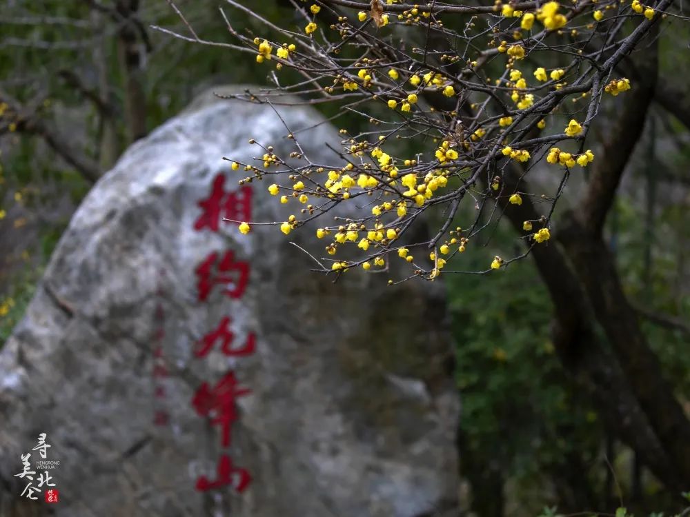 北仑步道爬山,北仑爬山路线