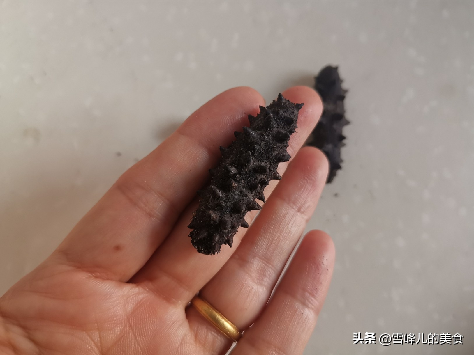 海参泡发的正确方法零基础上手,这才是海参泡发的正确方法