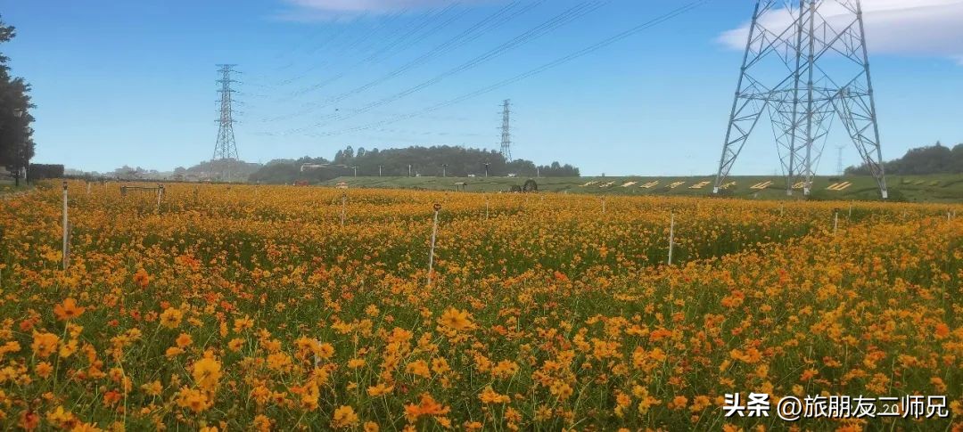 佛山三水白坭附近的旅游景点,佛山三水出发黄姚古镇旅游攻略