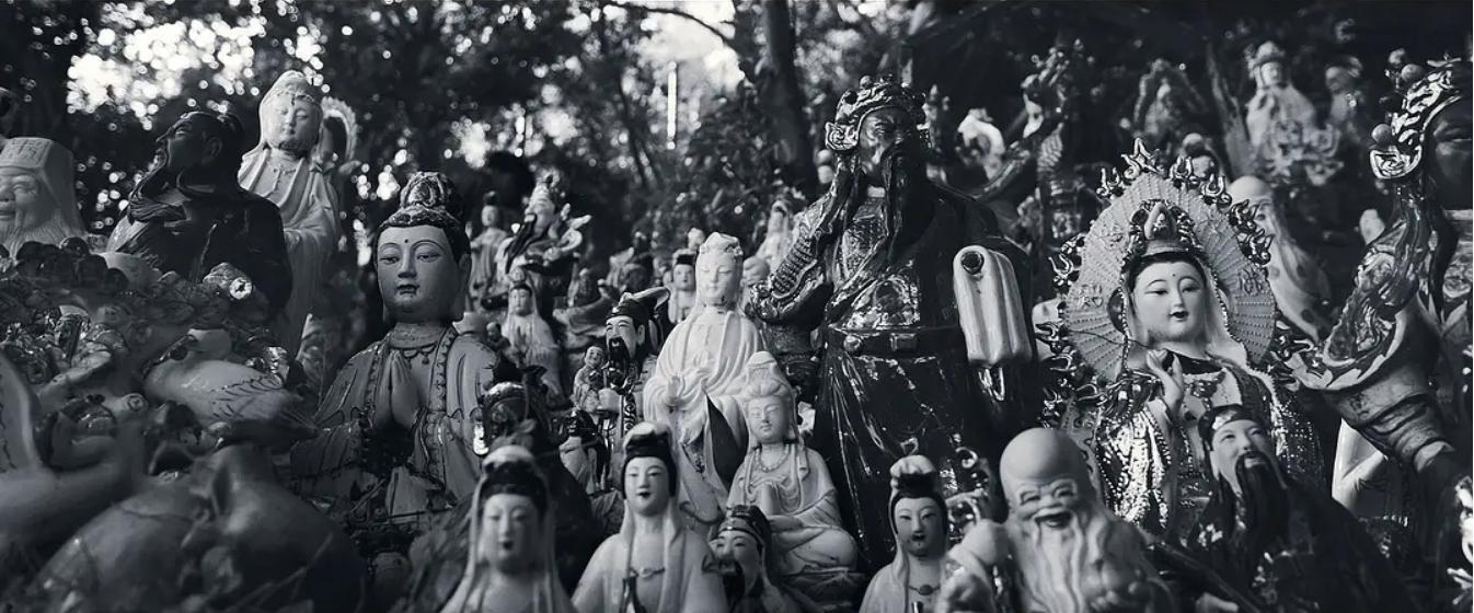 智齿港片,智齿港片电影