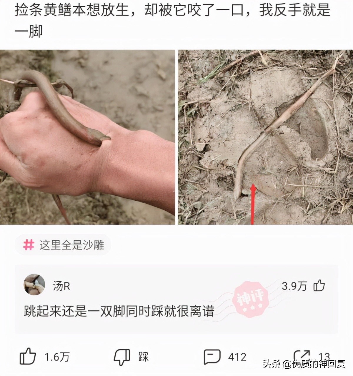 头发洗了一天就很油很痒怎么回事,头发天天洗还是痒得厉害怎么回事