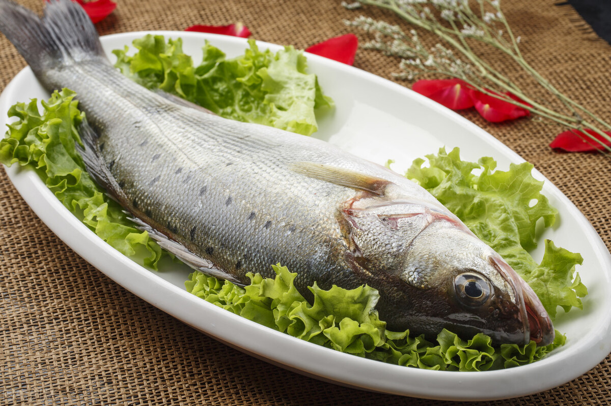 鲈鱼肚子大的好还是肚子小的好,买鲈鱼公的好还是母的好