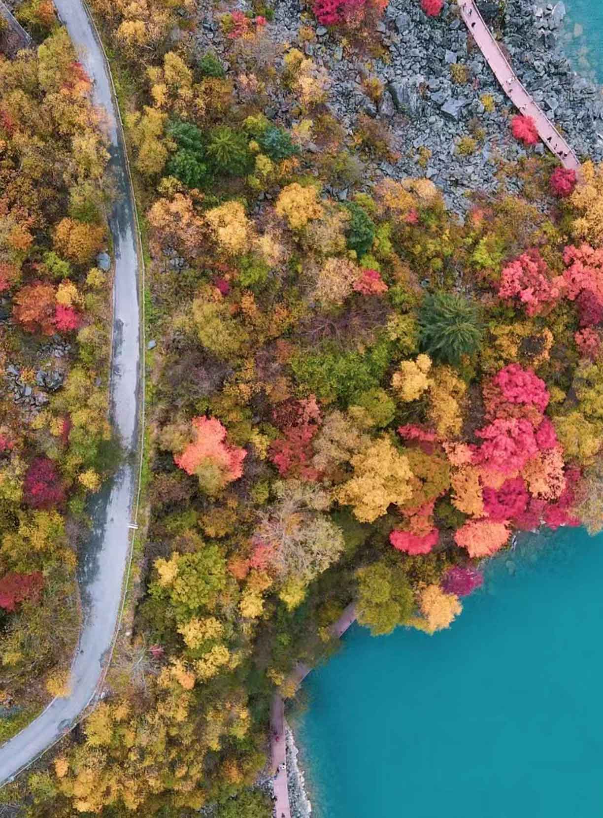 一天来回！别名“小九寨”的油画秋色、高山草甸，一站式游玩到底