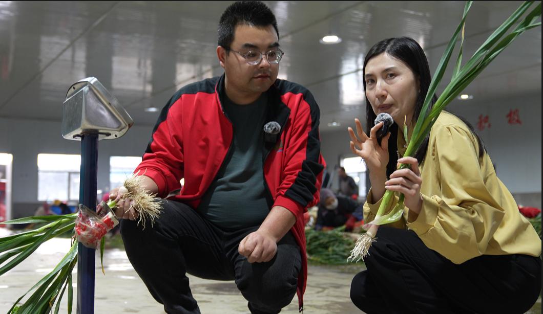 蒜苗卖了三万多,今天蒜苗多少钱一斤