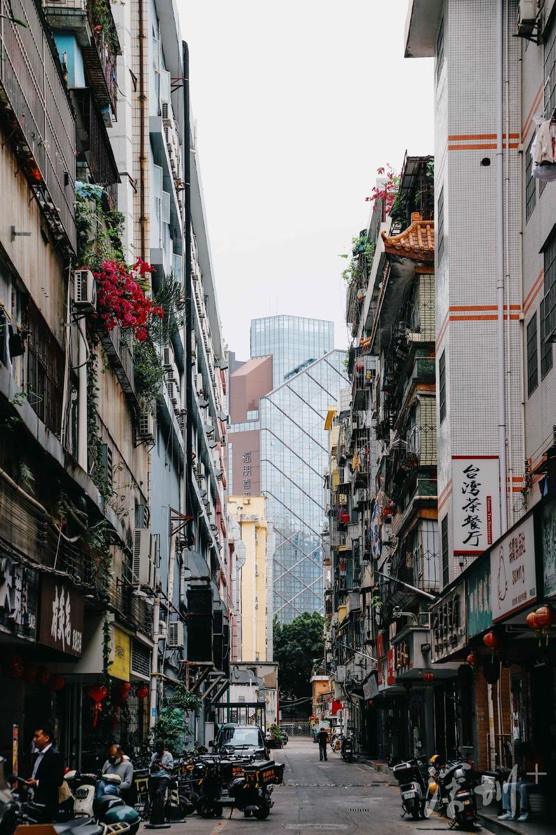 寻味深圳美食文化荟萃,深圳寻味美食推荐店有哪些