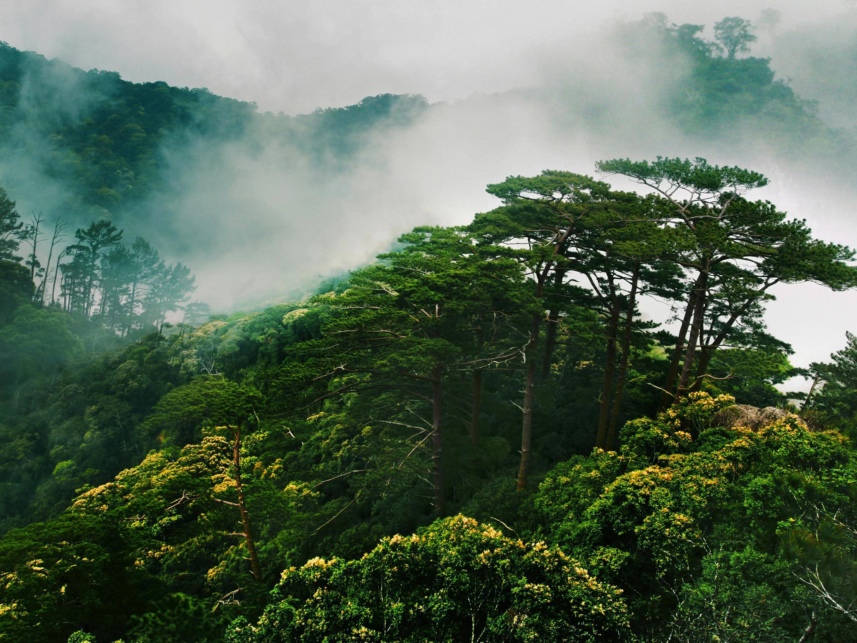 熊猫各种姿势图片,熊猫各种各样的姿势