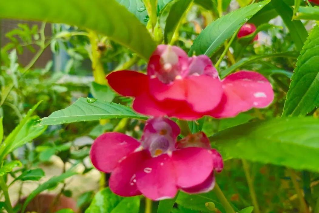 相亲见面两次可以发展到什么地步,同一个相亲对象介绍两次