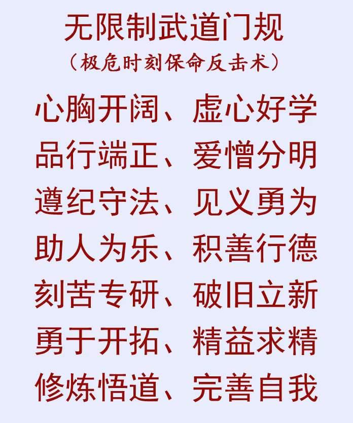 武林风陈鹤皋完整视频,陈鹤皋武林踢馆