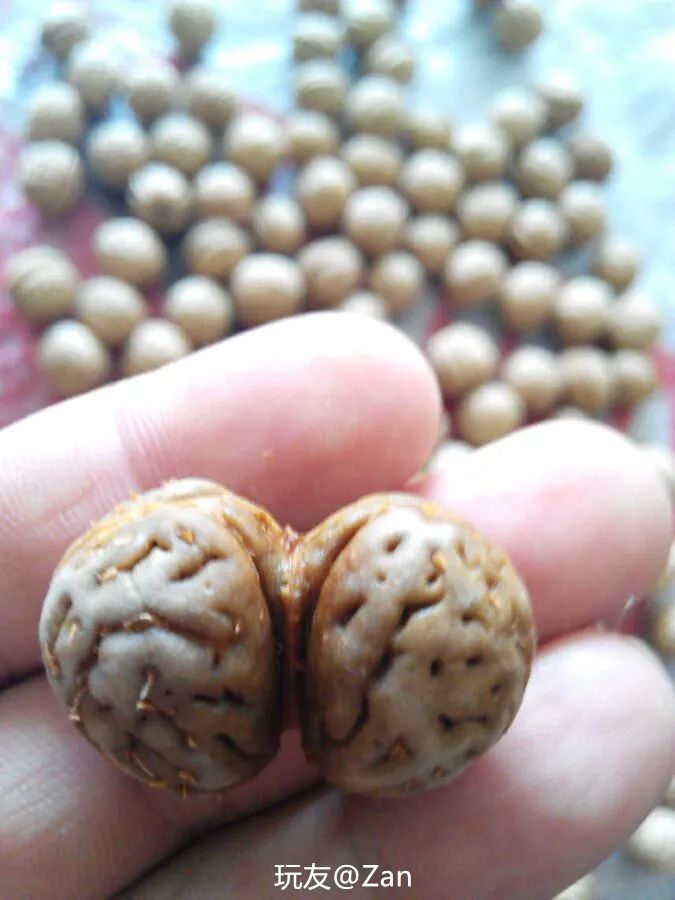 与众不同的双棒文玩，是时尚达人追求的最终目标