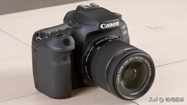 动物拍照最好的相机,哪种相机适合拍摄动物