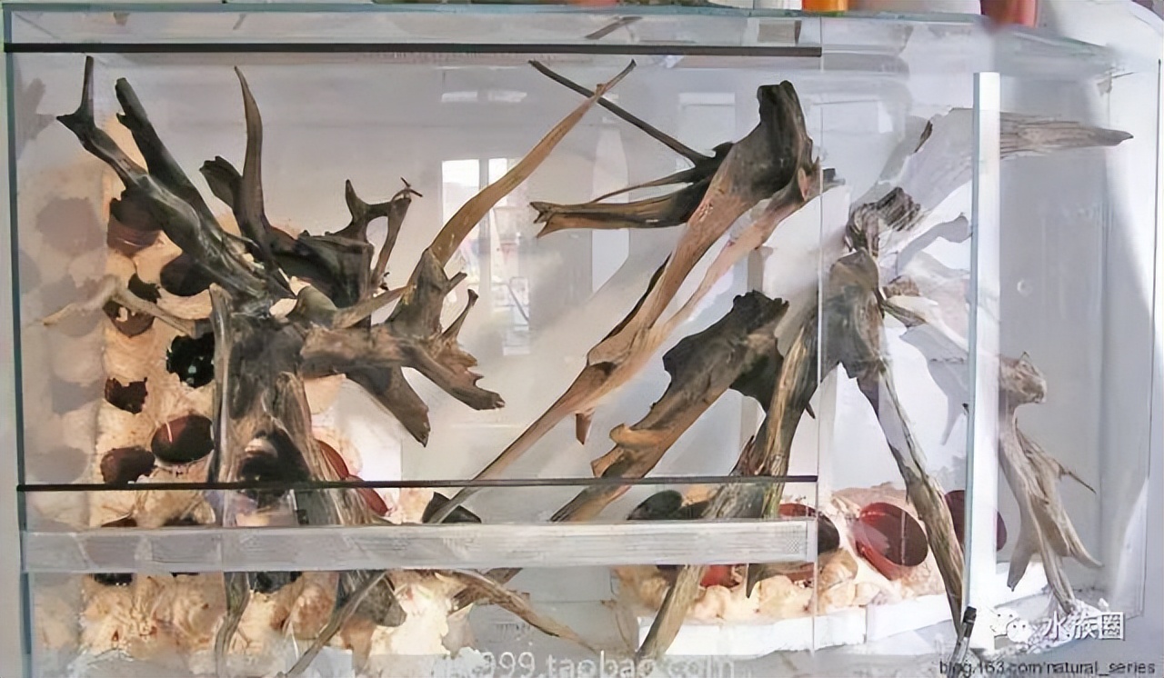 雨林缸超小,雨林缸电视柜