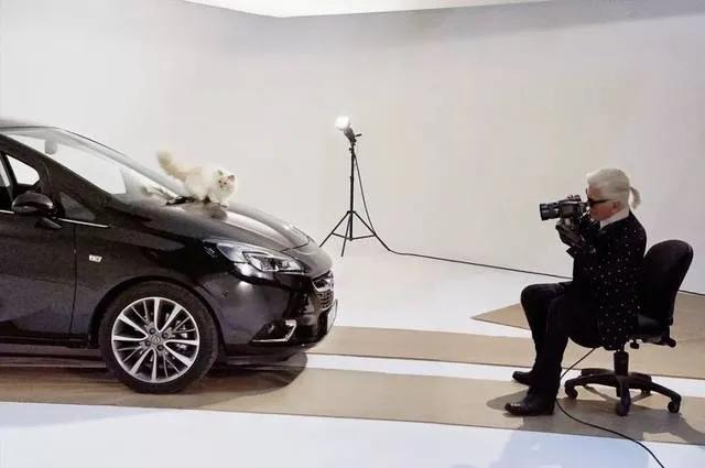 世界上最有钱的猫，坐拥21亿的财富