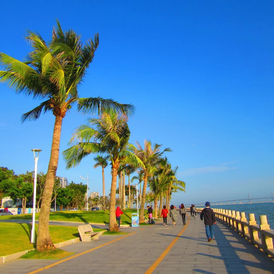 从珠海出发游港珠澳大桥,广州珠江游轮一日游