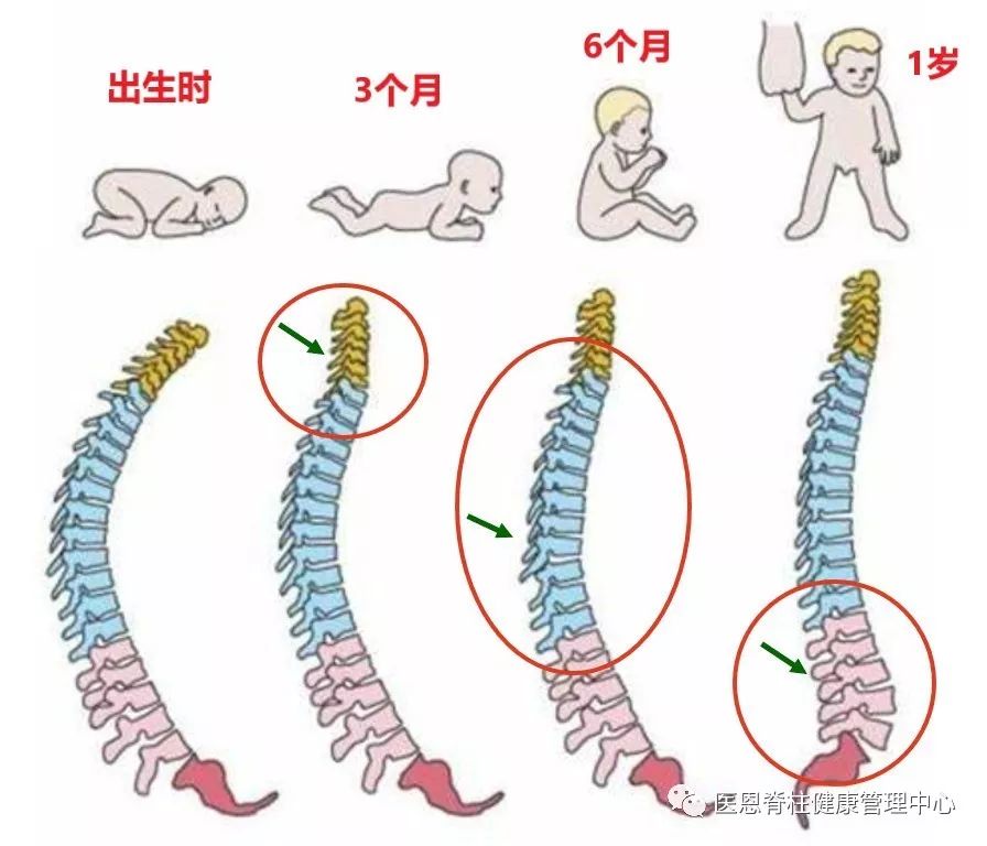 腰椎生理前凸消失是什么意思,颈椎间盘向后局限性突出